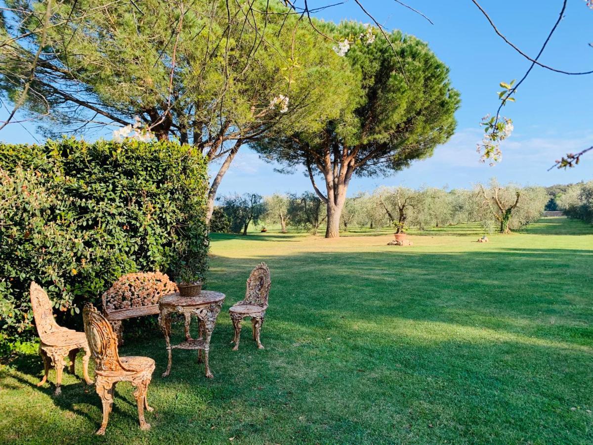 B&B Valle D'Oro Ansedonia Bagian luar foto