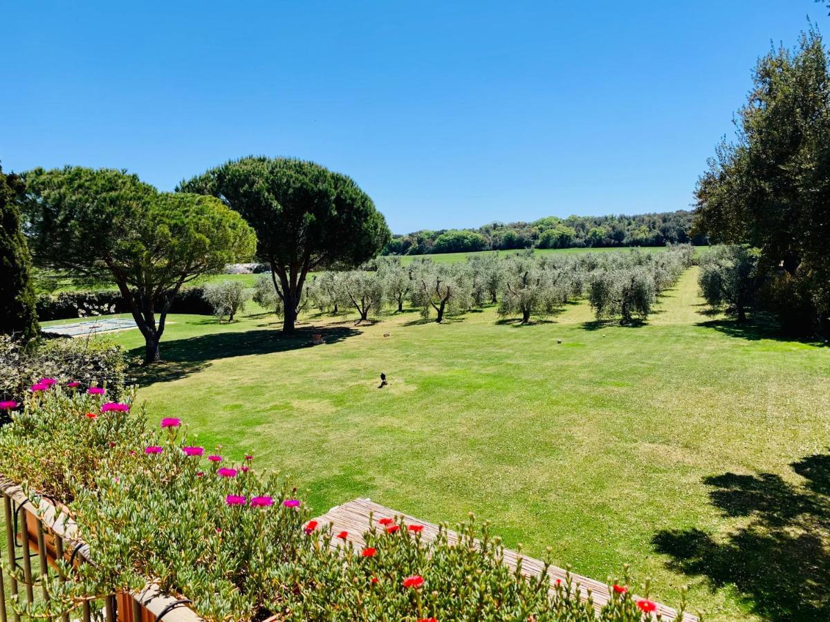 B&B Valle D'Oro Ansedonia Bagian luar foto