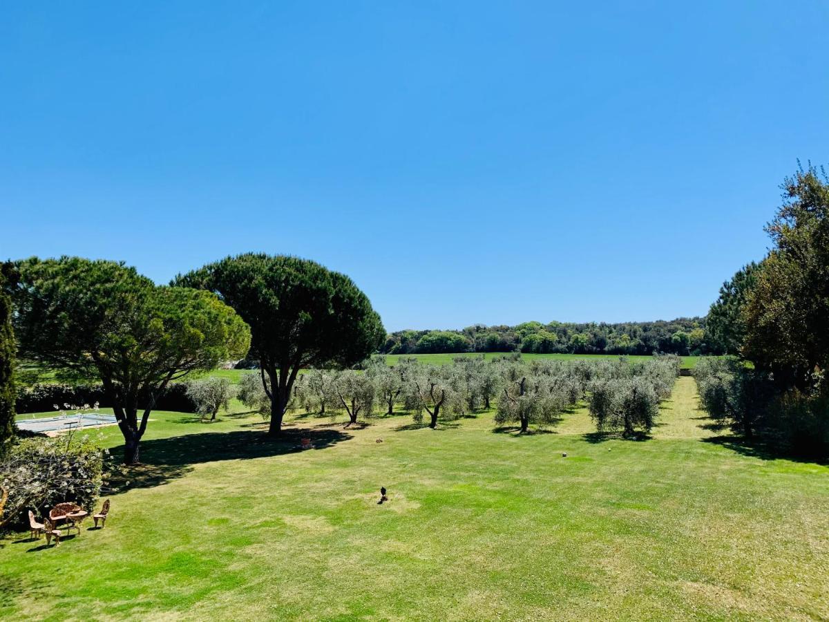 B&B Valle D'Oro Ansedonia Bagian luar foto