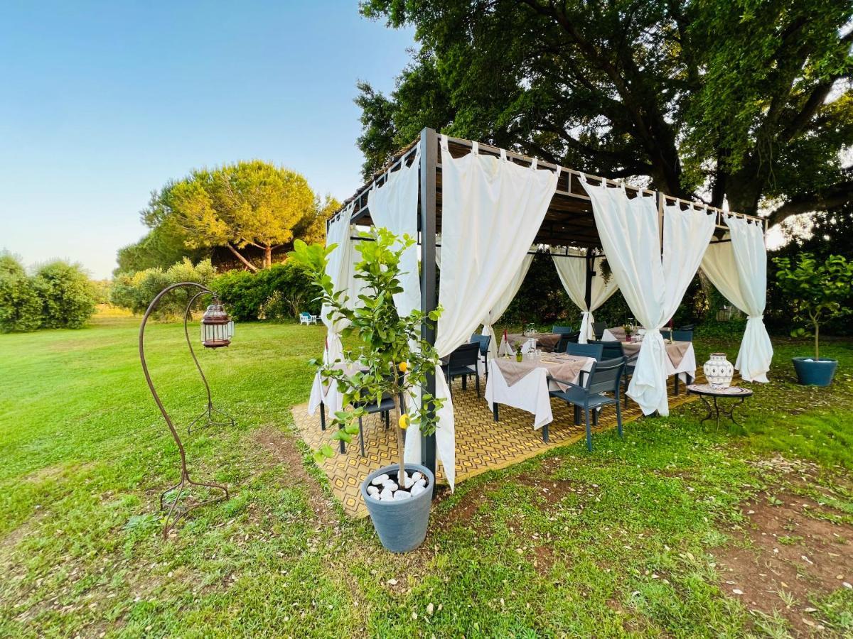 B&B Valle D'Oro Ansedonia Bagian luar foto