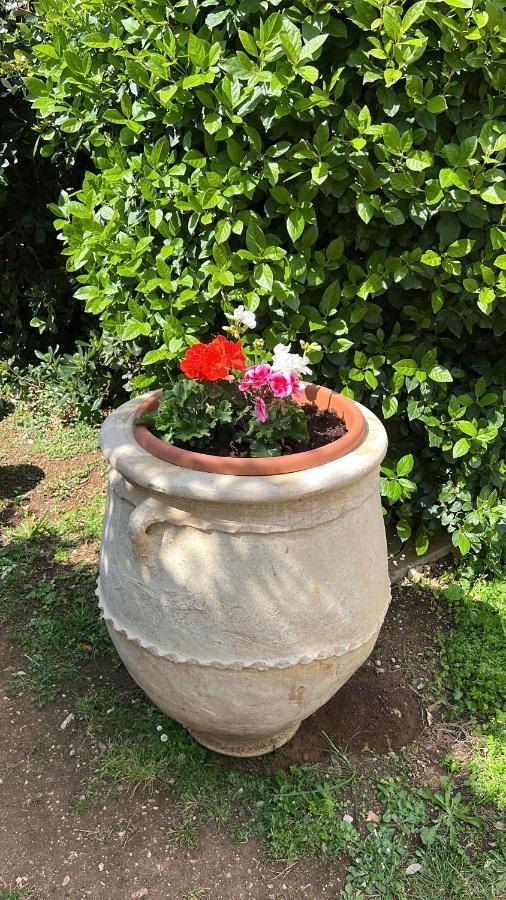 B&B Valle D'Oro Ansedonia Bagian luar foto