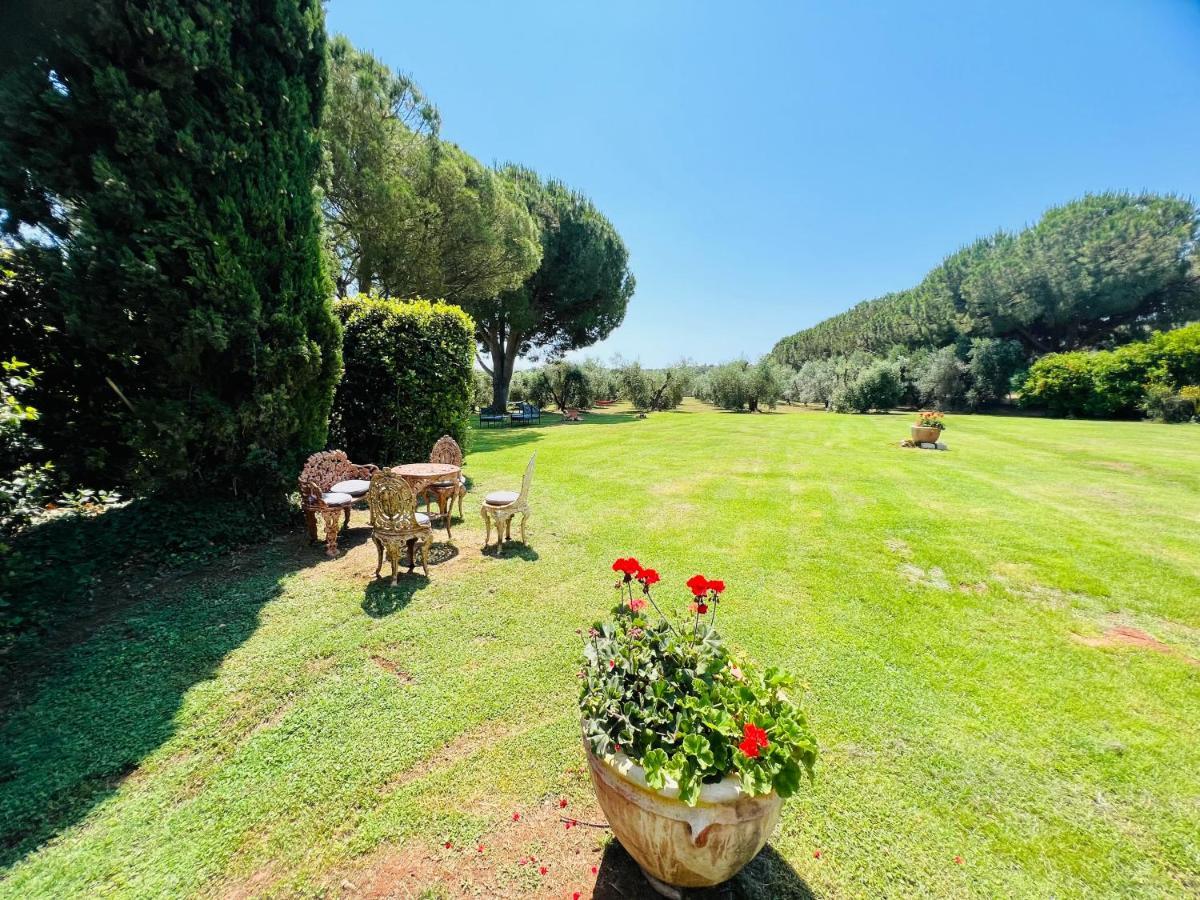 B&B Valle D'Oro Ansedonia Bagian luar foto